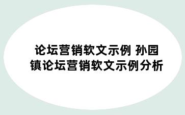 论坛营销软文示例 孙园镇论坛营销软文示例分析